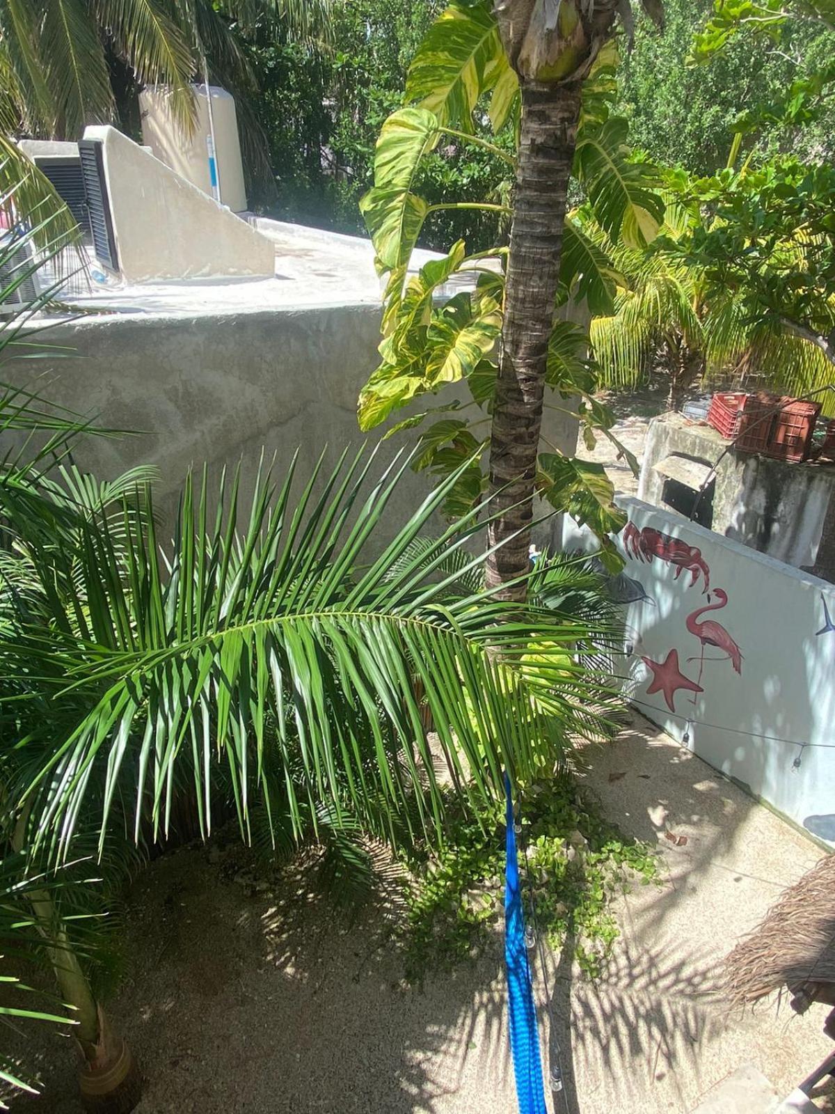 Hotel Pelecanus Suites Holbox Exterior photo